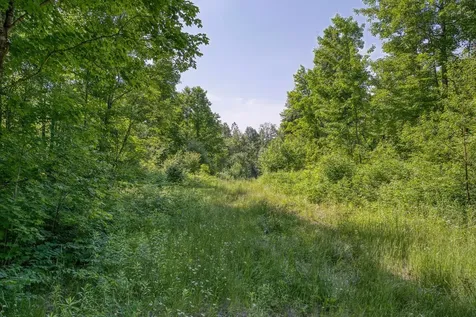 6881E Forest Road Marenisco MI 49947