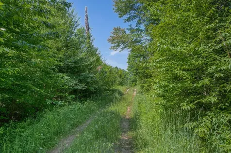 6881E Forest Road Marenisco MI 49947
