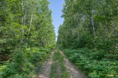 6881E Forest Road Marenisco MI 49947