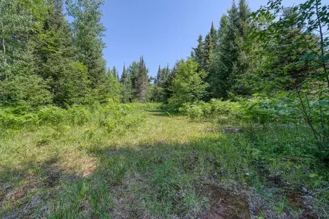 6881E Forest Road Marenisco MI 49947