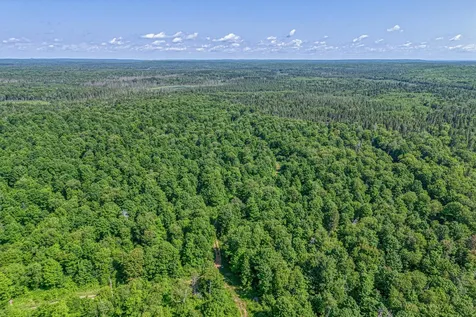 6881E Forest Road Marenisco MI 49947