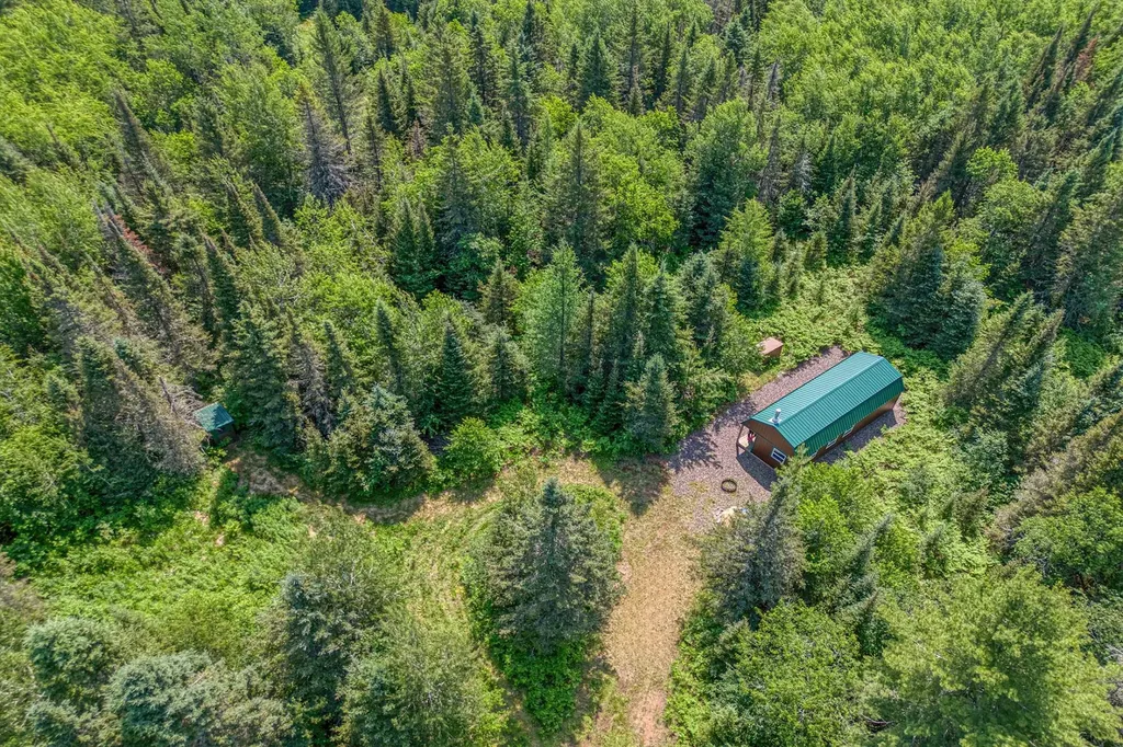 6881E Forest Road Marenisco MI 49947