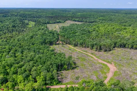 6881E Forest Road Marenisco MI 49947