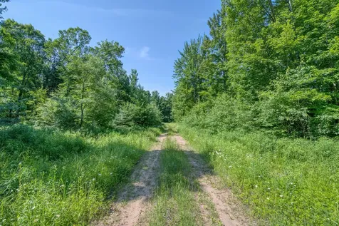 6881E Forest Road Marenisco MI 49947