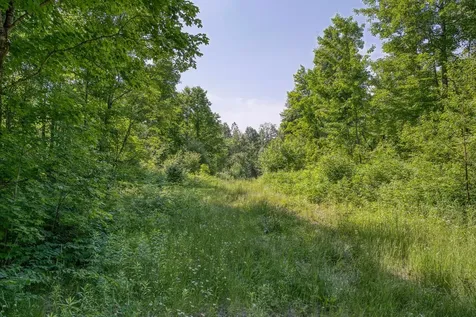 6881E Forest Road Marenisco MI 49947