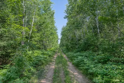 6881E Forest Road Marenisco MI 49947