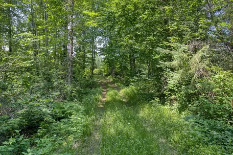 6881E Forest Road Marenisco MI 49947