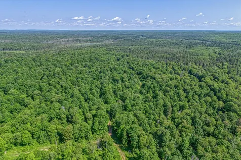 6881E Forest Road Marenisco MI 49947