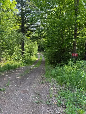 6881E Forest Road Marenisco MI 49947