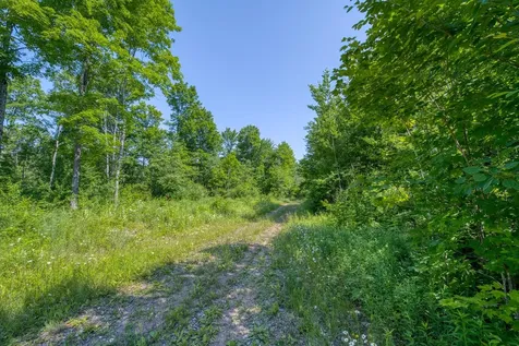 6881E Forest Road Marenisco MI 49947