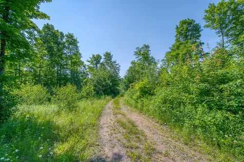 6881E Forest Road Marenisco MI 49947