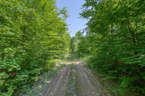6881E Forest Road Marenisco MI 49947