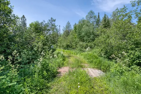 6881E Forest Road Marenisco MI 49947