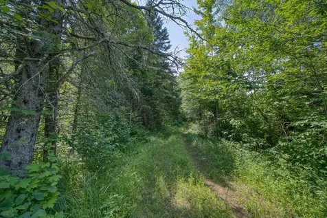 6881E Forest Road Marenisco MI 49947