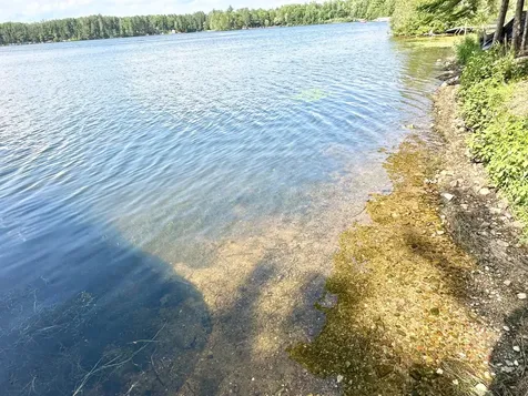 N10562 Isle Of Pines Drive W Elcho WI 54428