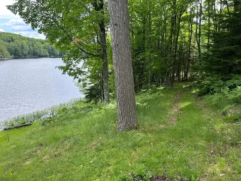 13797 Stateline Lake Road Marenisco MI 49947