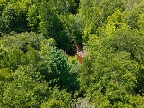32954 Kingbird Lane Carp Lake MI 49953