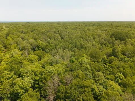 32954 Kingbird Lane Carp Lake MI 49953