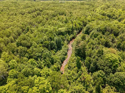 32954 Kingbird Lane Carp Lake MI 49953