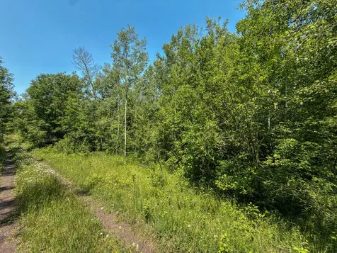 32954 Kingbird Lane Carp Lake MI 49953