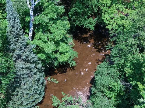 32954 Kingbird Lane Carp Lake MI 49953