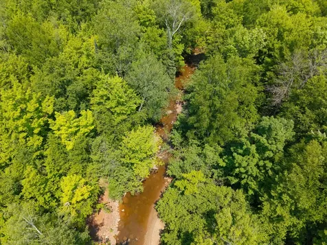 32954 Kingbird Lane Carp Lake MI 49953