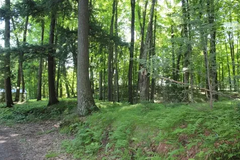 3205 Cth Q Pelican Lake WI 54463