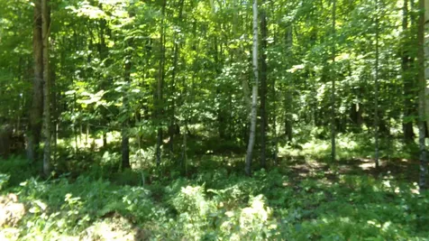 6197 Freedom Corners Road Wabeno WI 54566