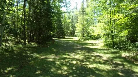 6197 Freedom Corners Road Wabeno WI 54566