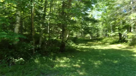 6197 Freedom Corners Road Wabeno WI 54566