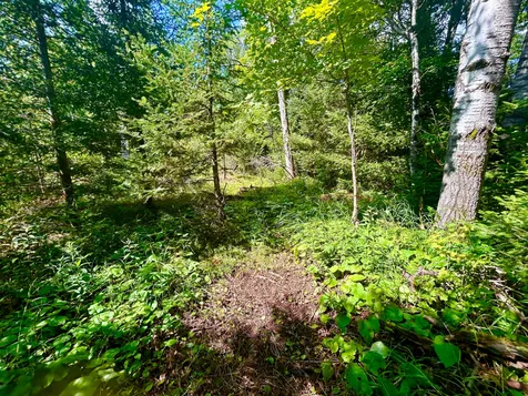 5174 Branch Lane N Wabeno WI 54566