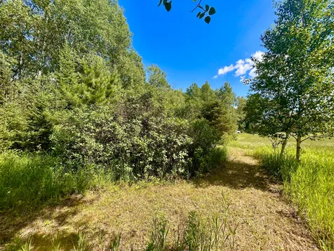 5174 Branch Lane N Wabeno WI 54566