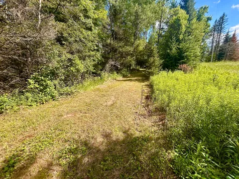 5174 Branch Lane N Wabeno WI 54566