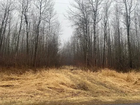 On Cth I Ogema WI 54459