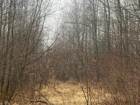 On Cth I Ogema WI 54459