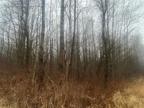 On Cth I Ogema WI 54459