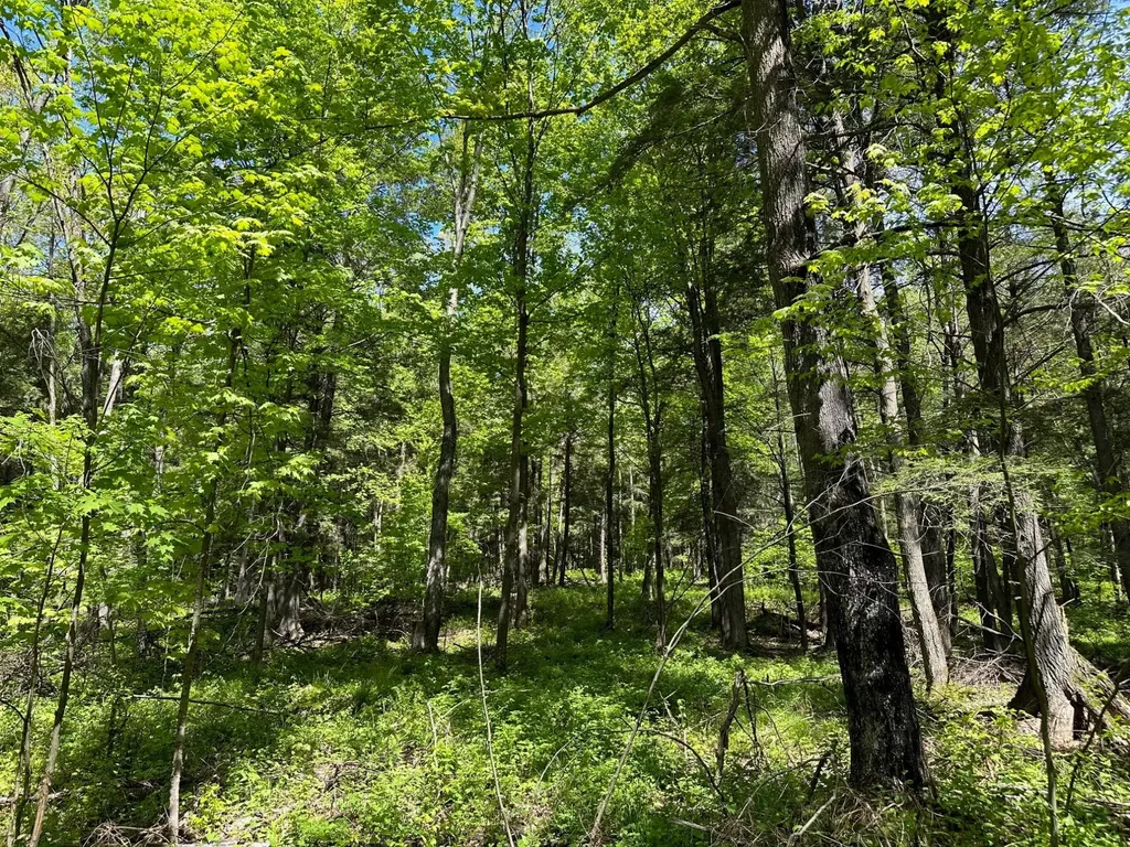 Lot 8 Kellar Drive Maine WI 54401