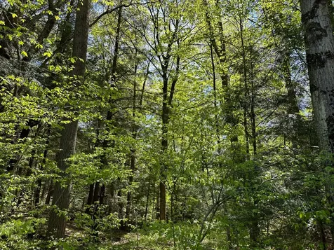Lot 8 Kellar Drive Maine WI 54401