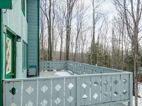 111 Little Deer Road Iron River MI 49935