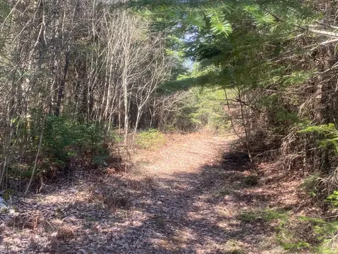 On Cth F Park Falls WI 54552