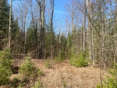 On Cth F Park Falls WI 54552