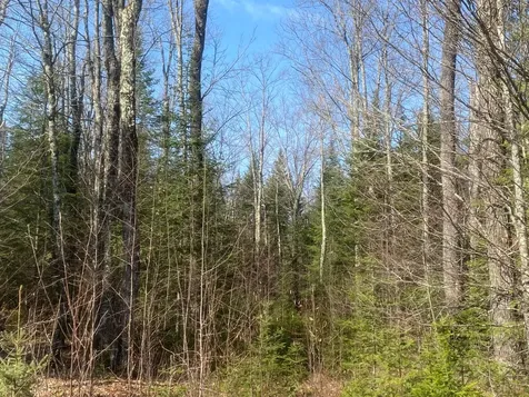 On Cth F Park Falls WI 54552