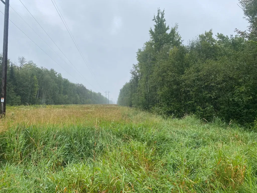 On Pennington Road Prentice WI 54556