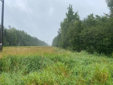 On Pennington Road Prentice WI 54556