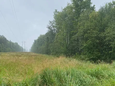 On Pennington Road Prentice WI 54556