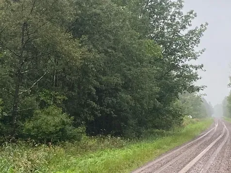 On Pennington Road Prentice WI 54556
