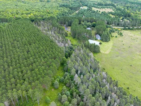 3565 Deerskin Road Phelps WI 54554