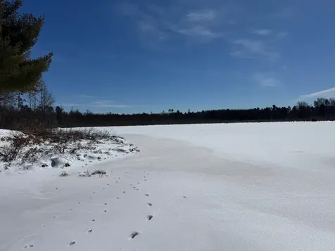 W4845 Mountain Drive Tomahawk WI 54487