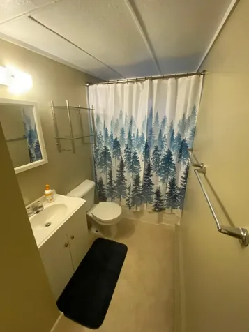 7932 Violet Drive Lake Tomahawk WI 54539