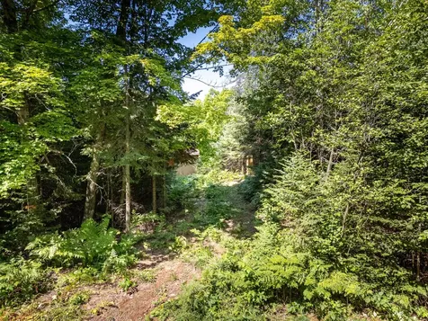 On Chaney Lake Road Bessemer Twp MI 49911